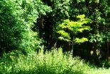 resize_1267452984